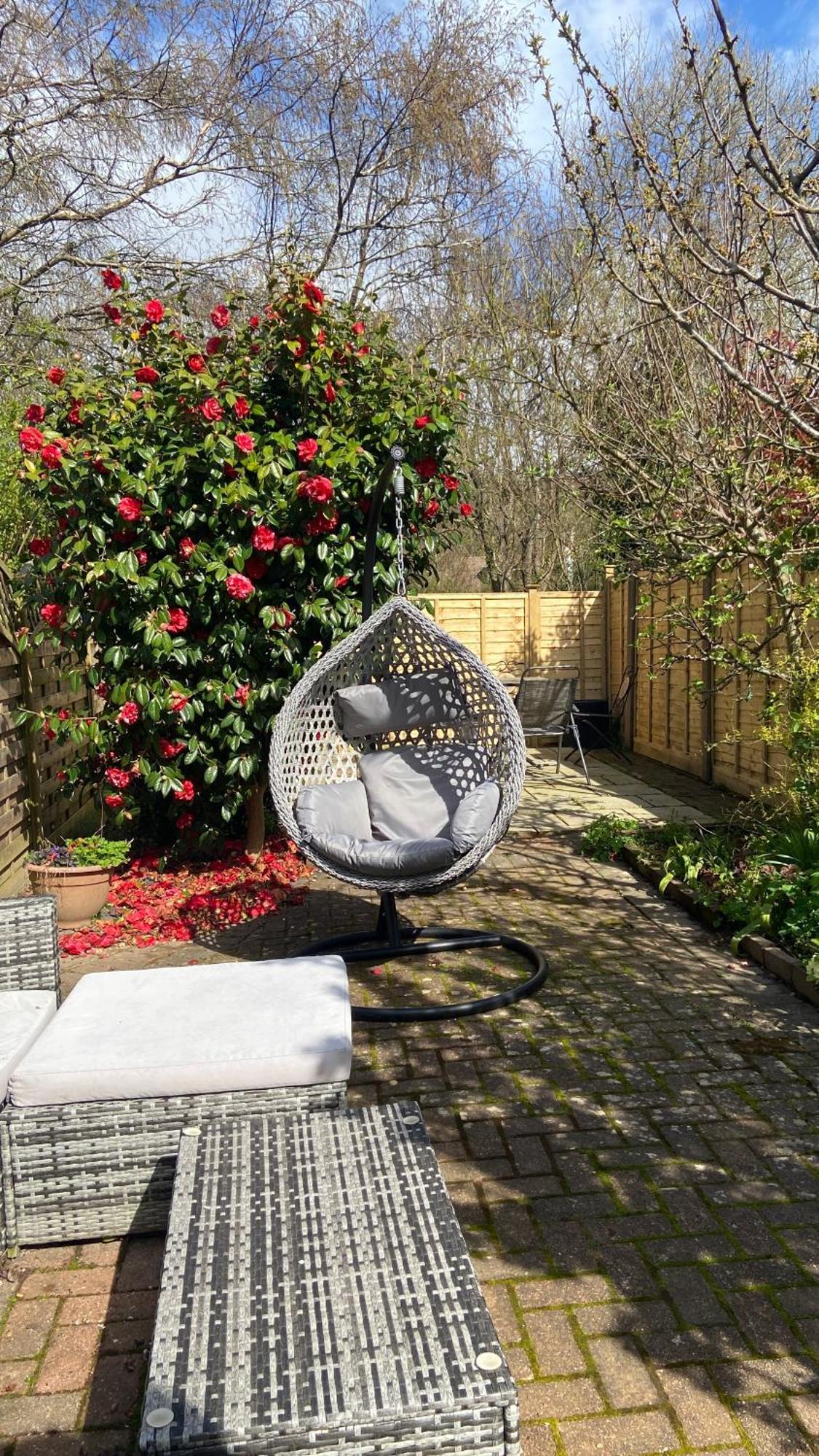 Beautiful Bexhill Cottage With Garden 3 Mins Walk To Beach Екстер'єр фото